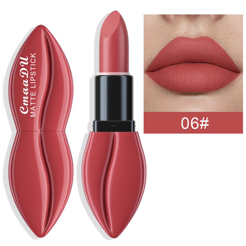 CmaaDu 10 Colors Long-Lasting Matte Lipstick Lip Stick with Rich Velvet Color and Waterproof Formula Valentine's Day Gifts - Seprincess