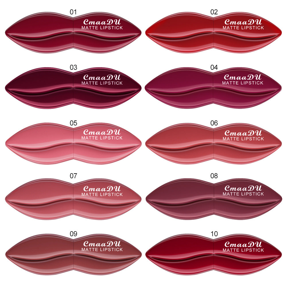 CmaaDu 10 Colors Long-Lasting Matte Lipstick Lip Stick with Rich Velvet Color and Waterproof Formula Valentine's Day Gifts - Seprincess