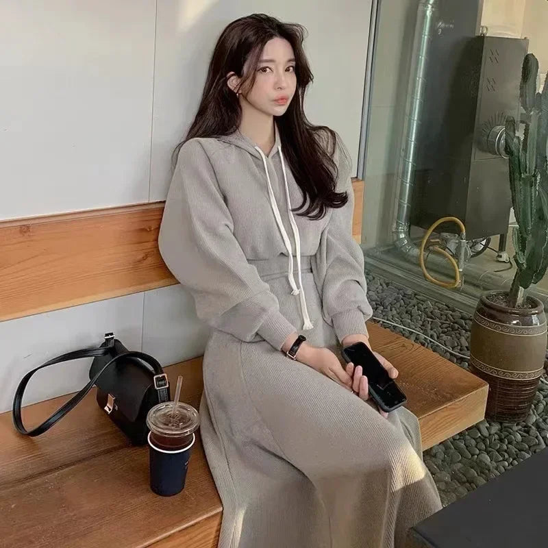 Spring  Autumn New Korean Women's Skirt Set Hooded Long Sleeve Hoodies Tops High Waisted Half Length Skirt 2 Piece Sets Womens - Seprincess