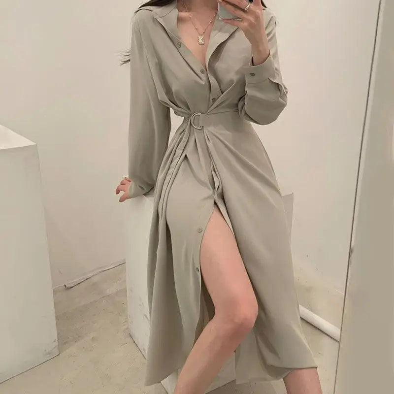 Elegant Spring and Autumn Polo Collar Single Breasted Lace Up Waist Slimming Long Sleeved Shirt Dress for Women - Seprincess