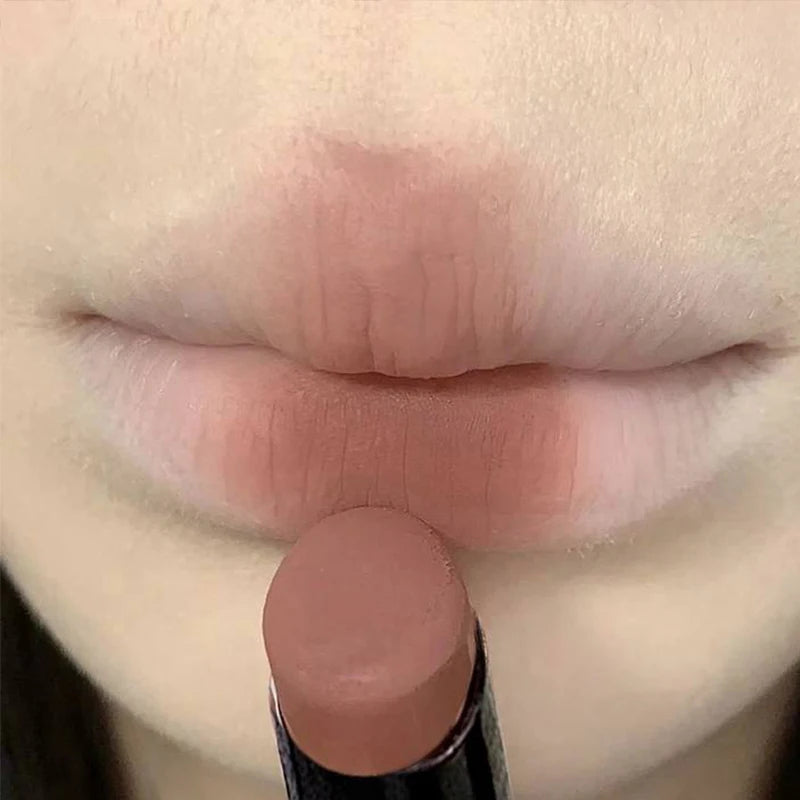 Waterproof Matte Coffee Brown Lipstick Moisturizing Long Lasting Not Easy To Fade Low Saturation Rose Pink Brown Lip Gloss - Seprincess