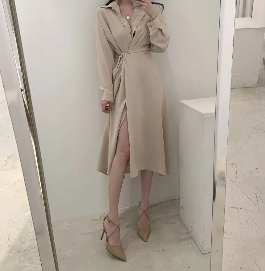 Elegant Spring and Autumn Polo Collar Single Breasted Lace Up Waist Slimming Long Sleeved Shirt Dress for Women - Seprincess