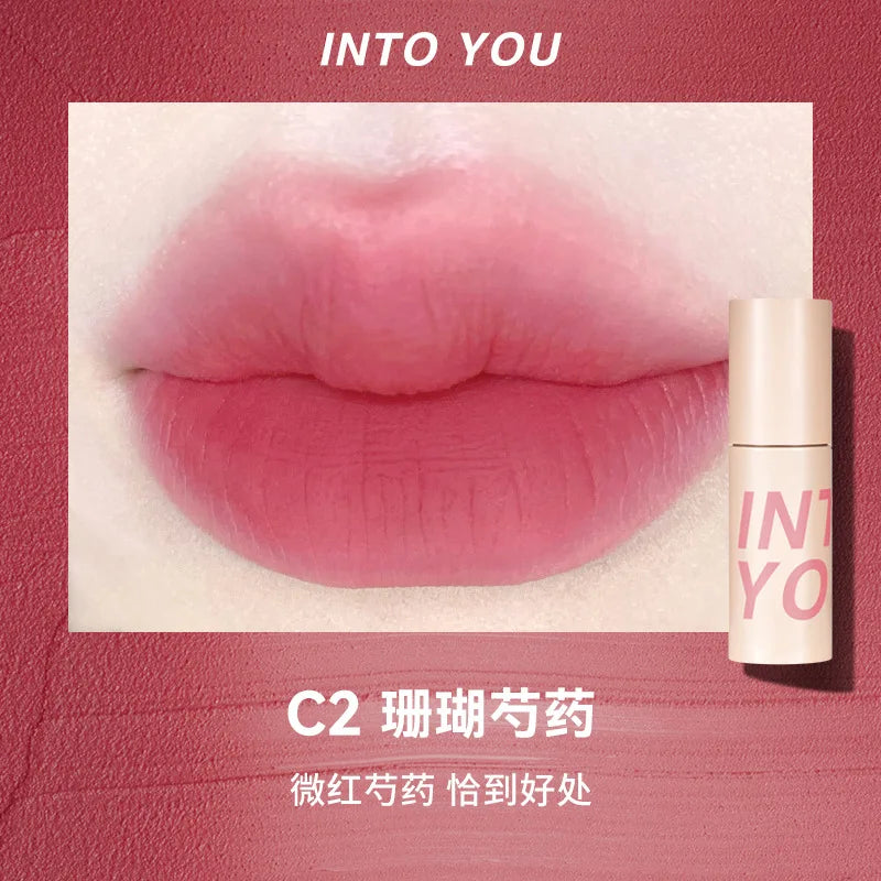 INTO YOU Make up Lip Gloss miltcolor Matte Velvet Lipstick Waterproof Red Lip Tint Lip Glaze Beauty Cosmetics lipstick lipgloss - Seprincess