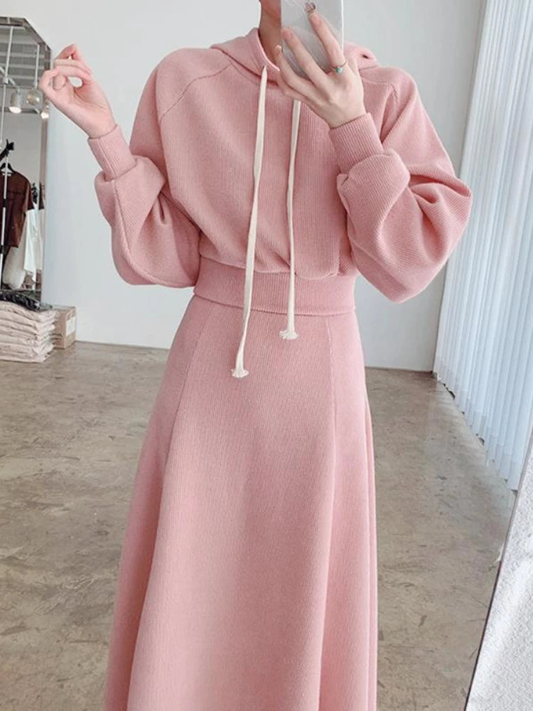 Spring  Autumn New Korean Women's Skirt Set Hooded Long Sleeve Hoodies Tops High Waisted Half Length Skirt 2 Piece Sets Womens - Seprincess