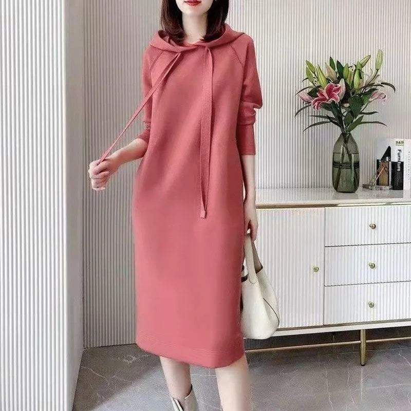 Women's Loose Casual Long Sleeve Hooded Dress Elegant Winter Party Warm Dresses For Women - Seprincess