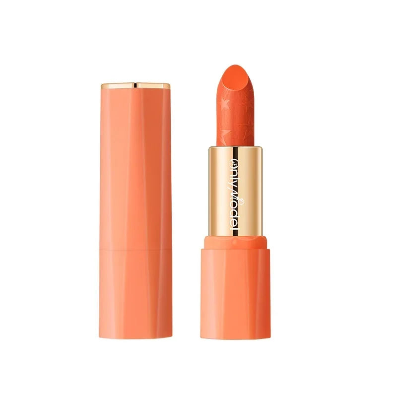 Orange Lipstick Waterproof Long Lasting Matte Lipsticks Resistant Lip Stick Velvet Lip Tint Women Cosmetic Sexy Lip Glaze Makeup - Seprincess