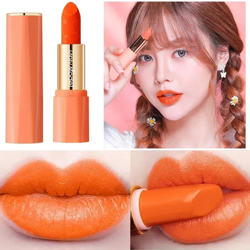 Orange Lipstick Waterproof Long Lasting Matte Lipsticks Resistant Lip Stick Velvet Lip Tint Women Cosmetic Sexy Lip Glaze Makeup - Seprincess