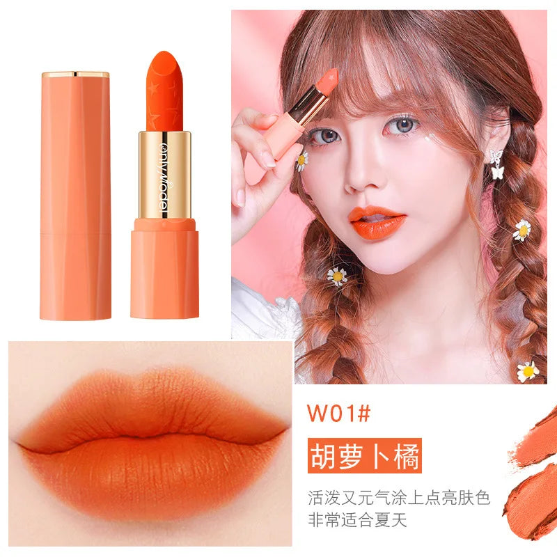 Orange Lipstick Waterproof Long Lasting Matte Lipsticks Resistant Lip Stick Velvet Lip Tint Women Cosmetic Sexy Lip Glaze Makeup - Seprincess