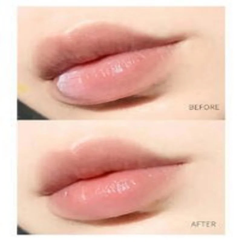 Natural Plant Lip Balm Moisturizing Lipsticks Base Cute Makeup Anti-Cracking Lip Oil Original Korean Cosmetics Skin Care New - Seprincess