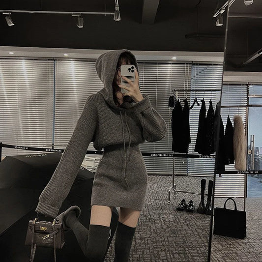 MEXZT Streetwear Knitted Mini Dress Women Hooded Sweater A Line Dresses Winter Korean Solid High Waist Slim Casual Vestidos New - Seprincess