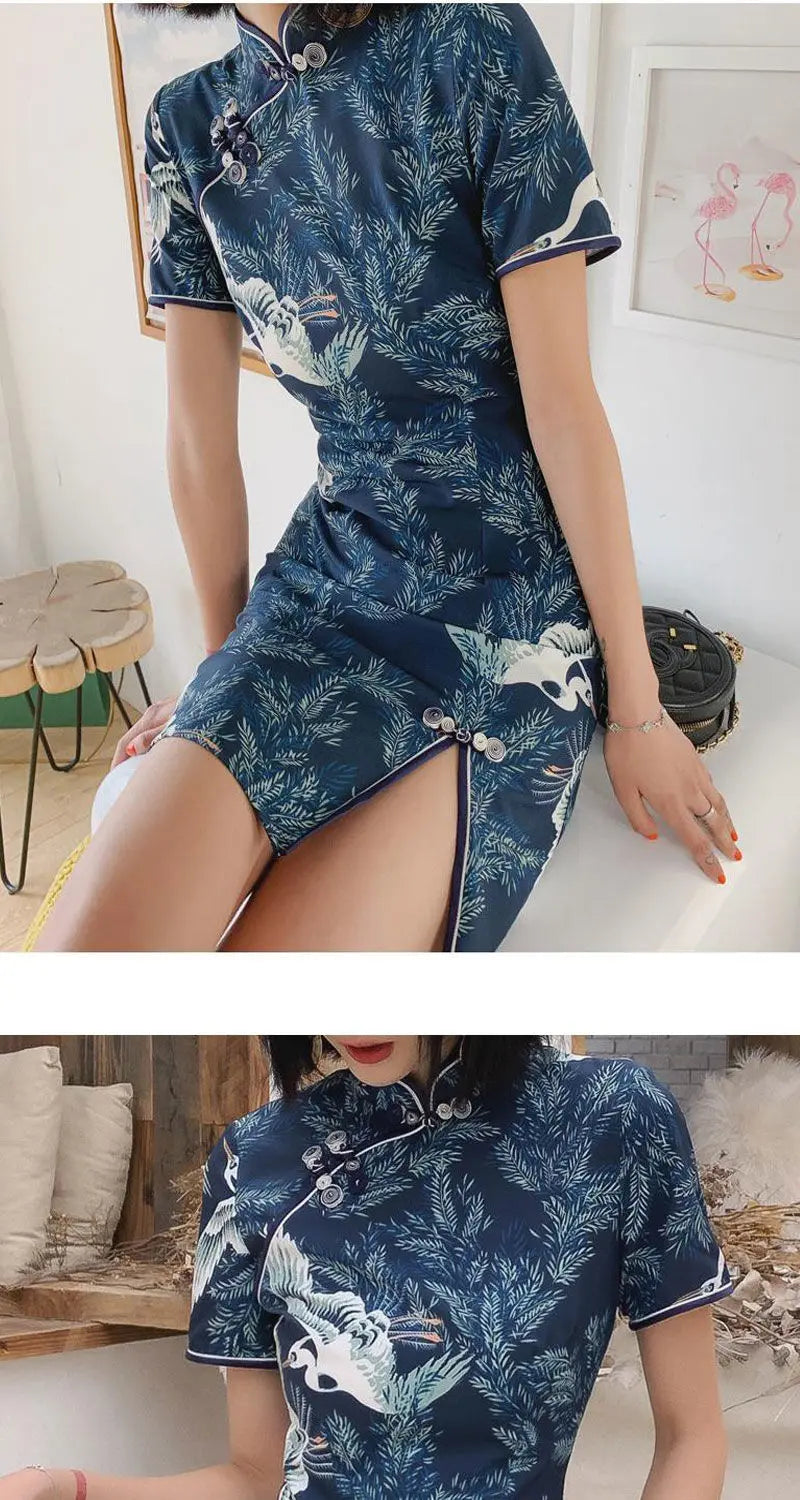 New Daily Improvement Cheongsam Dress 2024 Summer Short Sleeved Chinese Style Retro Young Style A-line Crane Print Dress Qipao - Seprincess