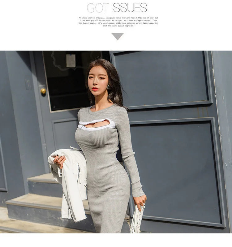 H Han Queen Hot Sale Retro Tight Knitting Pencil Dress Female Autumn Ladies Evening Party Sexy Long Sleeve Zipper Office Dresses - Seprincess