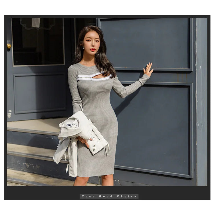 H Han Queen Hot Sale Retro Tight Knitting Pencil Dress Female Autumn Ladies Evening Party Sexy Long Sleeve Zipper Office Dresses - Seprincess