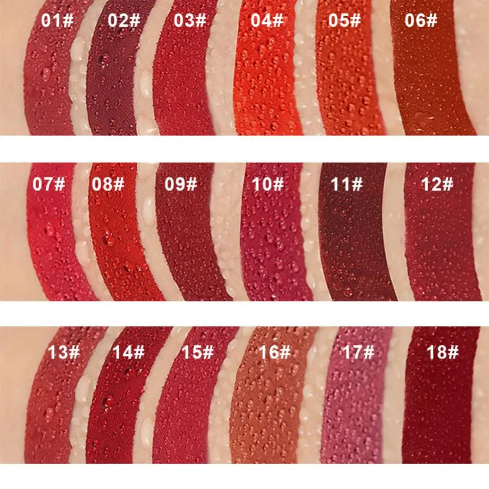 DNM Chocolate Matte Lip Gloss Color Moisture Velvet Lip Tint Lasting Non Stain Lipstick Moisturizing Cosmetics Makeup For Women - Seprincess