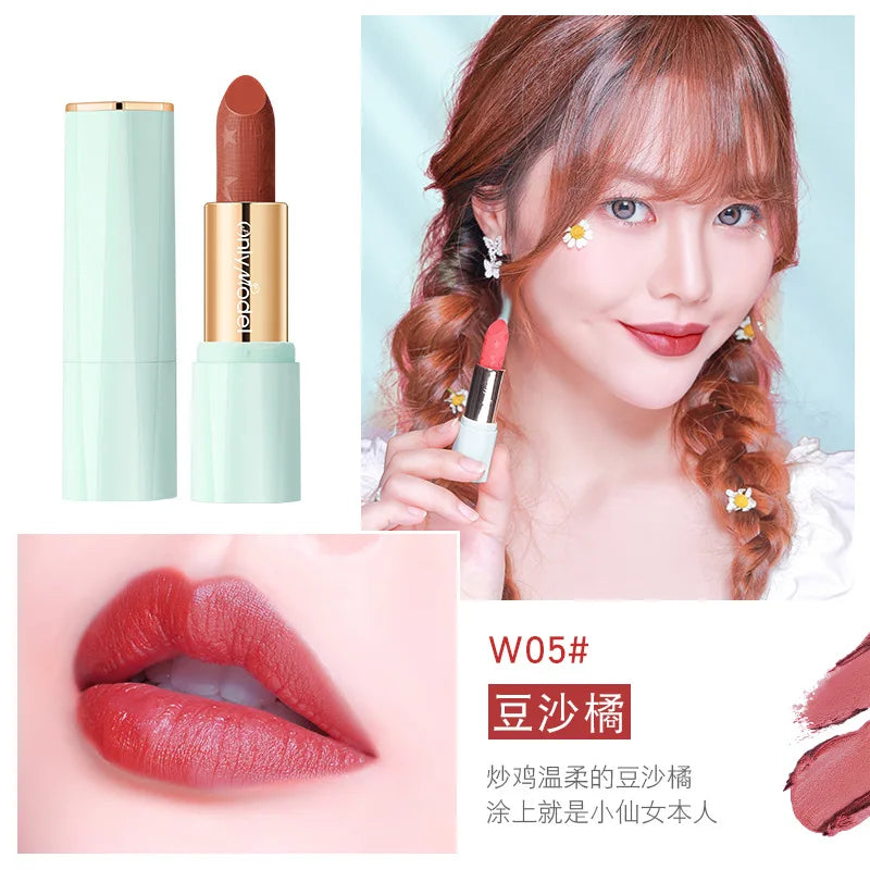 Orange Lipstick Velvet Matte Lipsticks Waterproof Long Lasting Lip Stick Velvet Lip Tint Women Cosmetic Sexy Lip Glaze Makeup - Seprincess