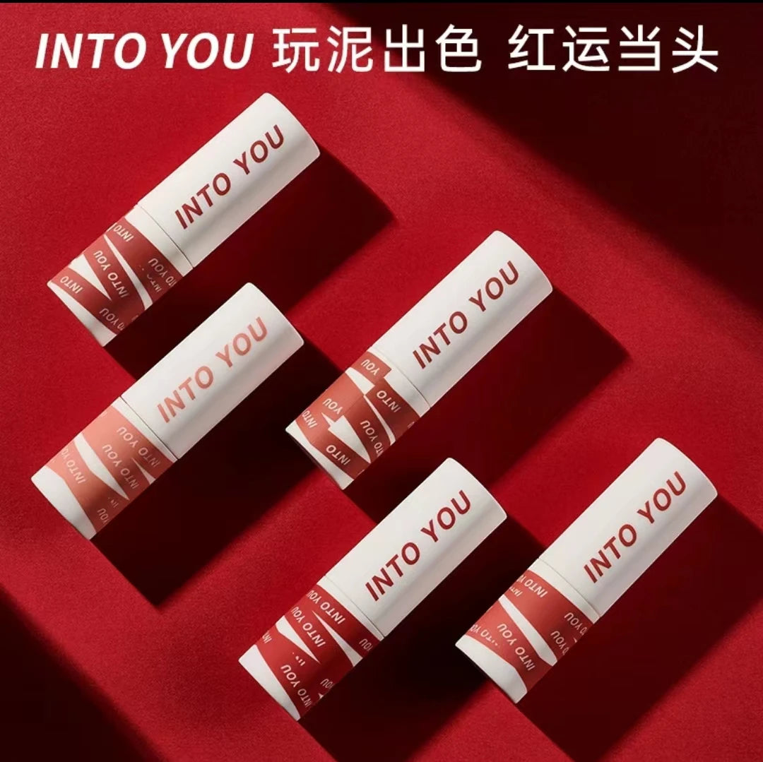 INTO YOU Make up Lip Gloss miltcolor Matte Velvet Lipstick Waterproof Red Lip Tint Lip Glaze Beauty Cosmetics lipstick lipgloss - Seprincess