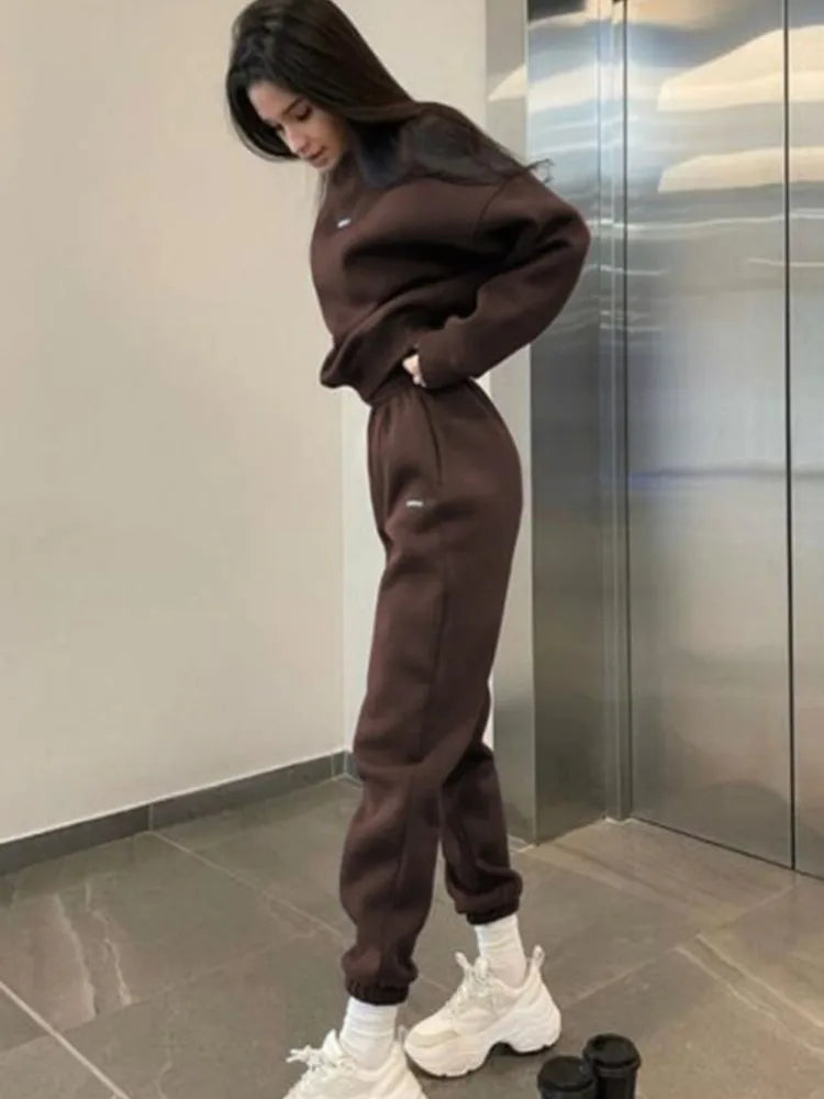 Autumn And Winter New Casual Sports Women's Suit Fashion Solid Color Simple Warm Pants Hoodie Female 2 Piece Set 2024 - Seprincess