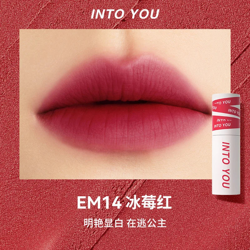 INTO YOU Make up Lip Gloss miltcolor Matte Velvet Lipstick Waterproof Red Lip Tint Lip Glaze Beauty Cosmetics lipstick lipgloss - Seprincess