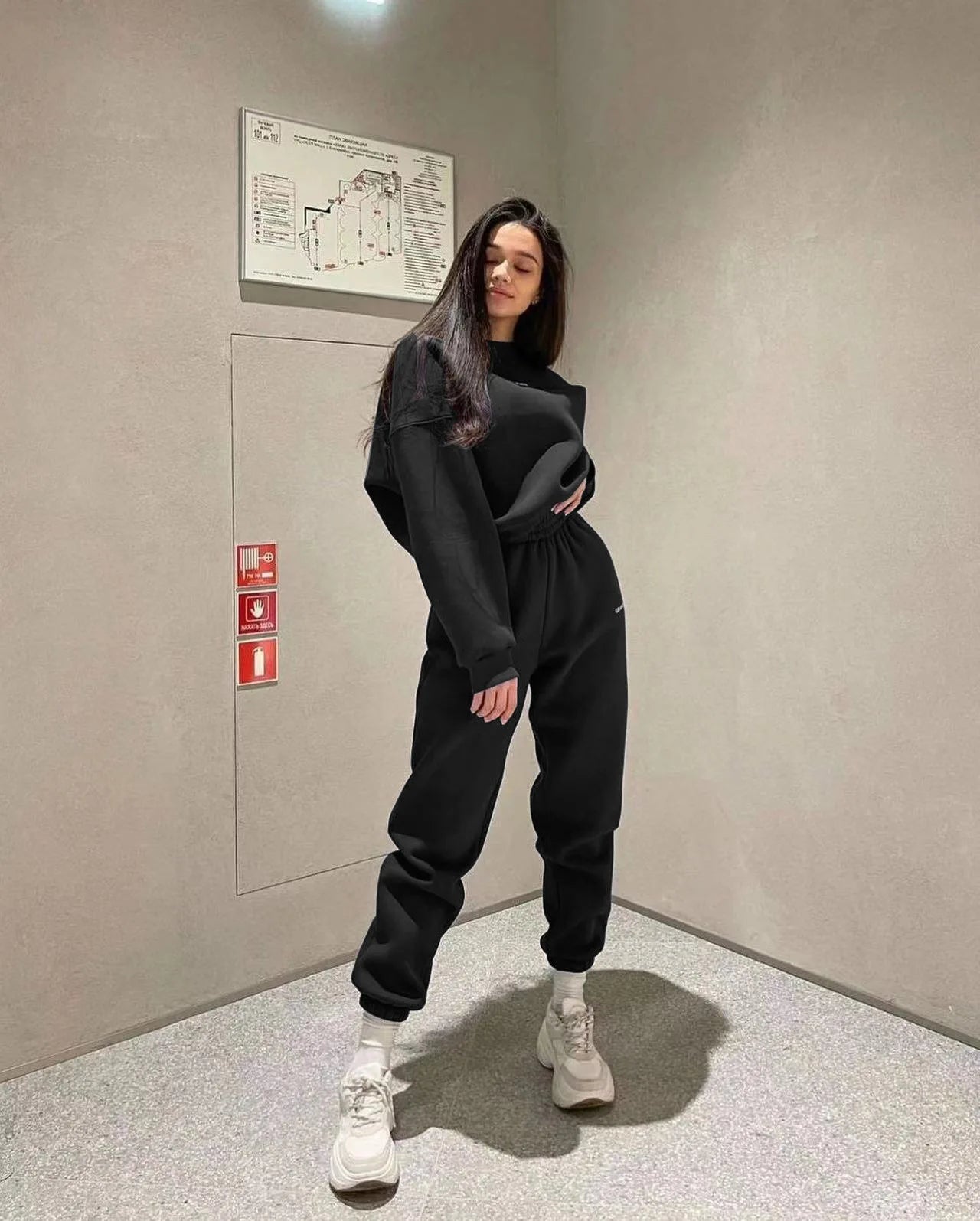 Autumn And Winter New Casual Sports Women's Suit Fashion Solid Color Simple Warm Pants Hoodie Female 2 Piece Set 2024