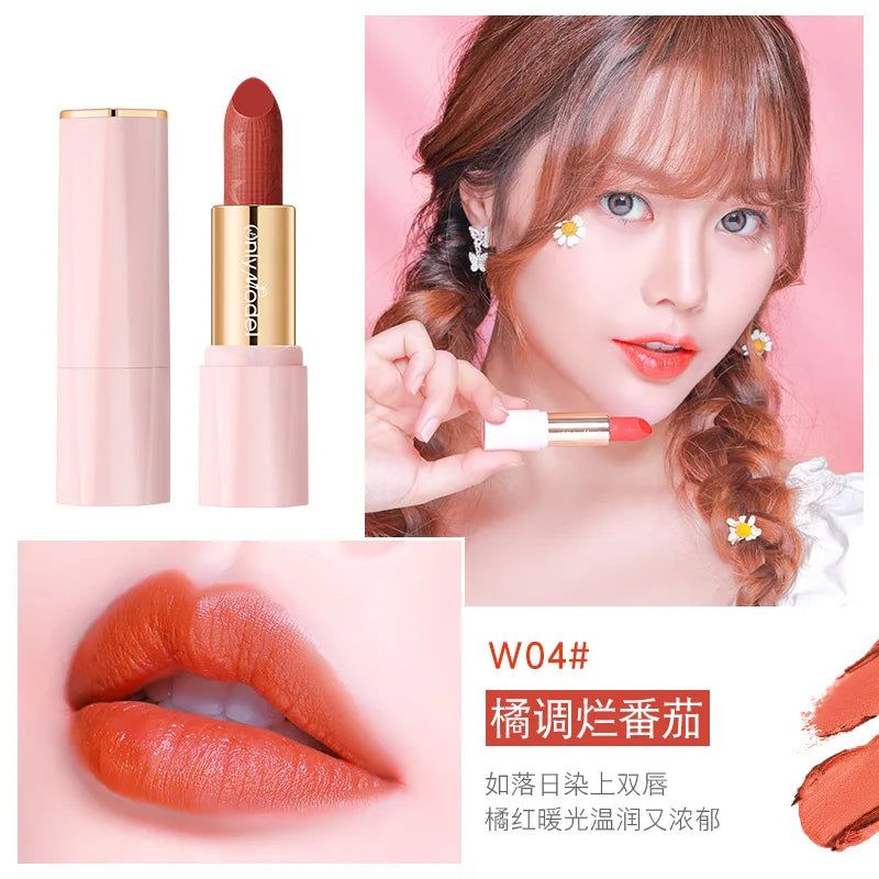 Orange Lipstick Velvet Matte Lipsticks Waterproof Long Lasting Lip Stick Velvet Lip Tint Women Cosmetic Sexy Lip Glaze Makeup - Seprincess