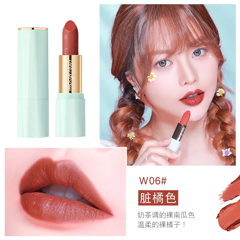 Orange Lipstick Velvet Matte Lipsticks Waterproof Long Lasting Lip Stick Velvet Lip Tint Women Cosmetic Sexy Lip Glaze Makeup - Seprincess