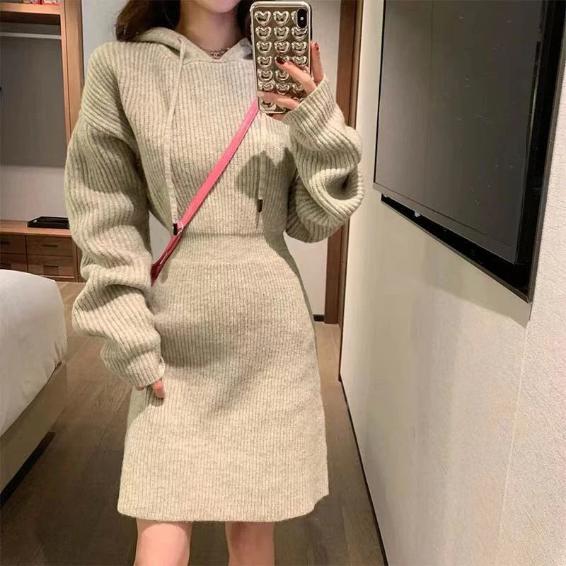 MEXZT Streetwear Knitted Mini Dress Women Hooded Sweater A Line Dresses Winter Korean Solid High Waist Slim Casual Vestidos New - Seprincess