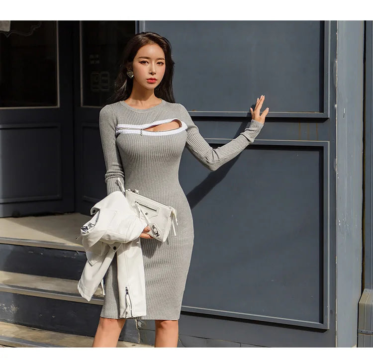 H Han Queen Hot Sale Retro Tight Knitting Pencil Dress Female Autumn Ladies Evening Party Sexy Long Sleeve Zipper Office Dresses - Seprincess