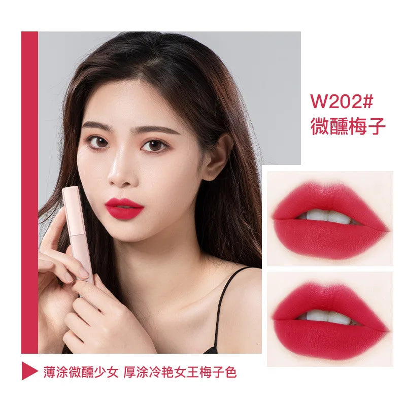 Orange Lipstick Velvet Matte Lipsticks Waterproof Long Lasting Lip Stick Velvet Lip Tint Women Cosmetic Sexy Lip Glaze Makeup - Seprincess