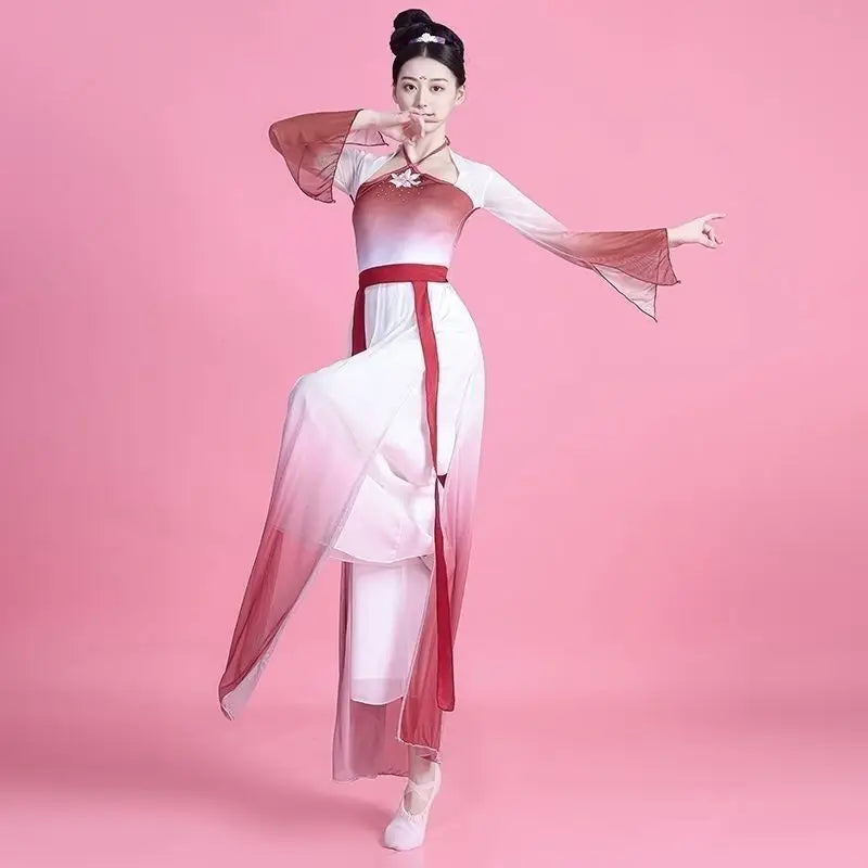 Chinese Classical Dance Costume Wanjiang Chinese Ancient Dance Practice Flowing Charm Hanfu Dance Performance Costume Women - Seprincess