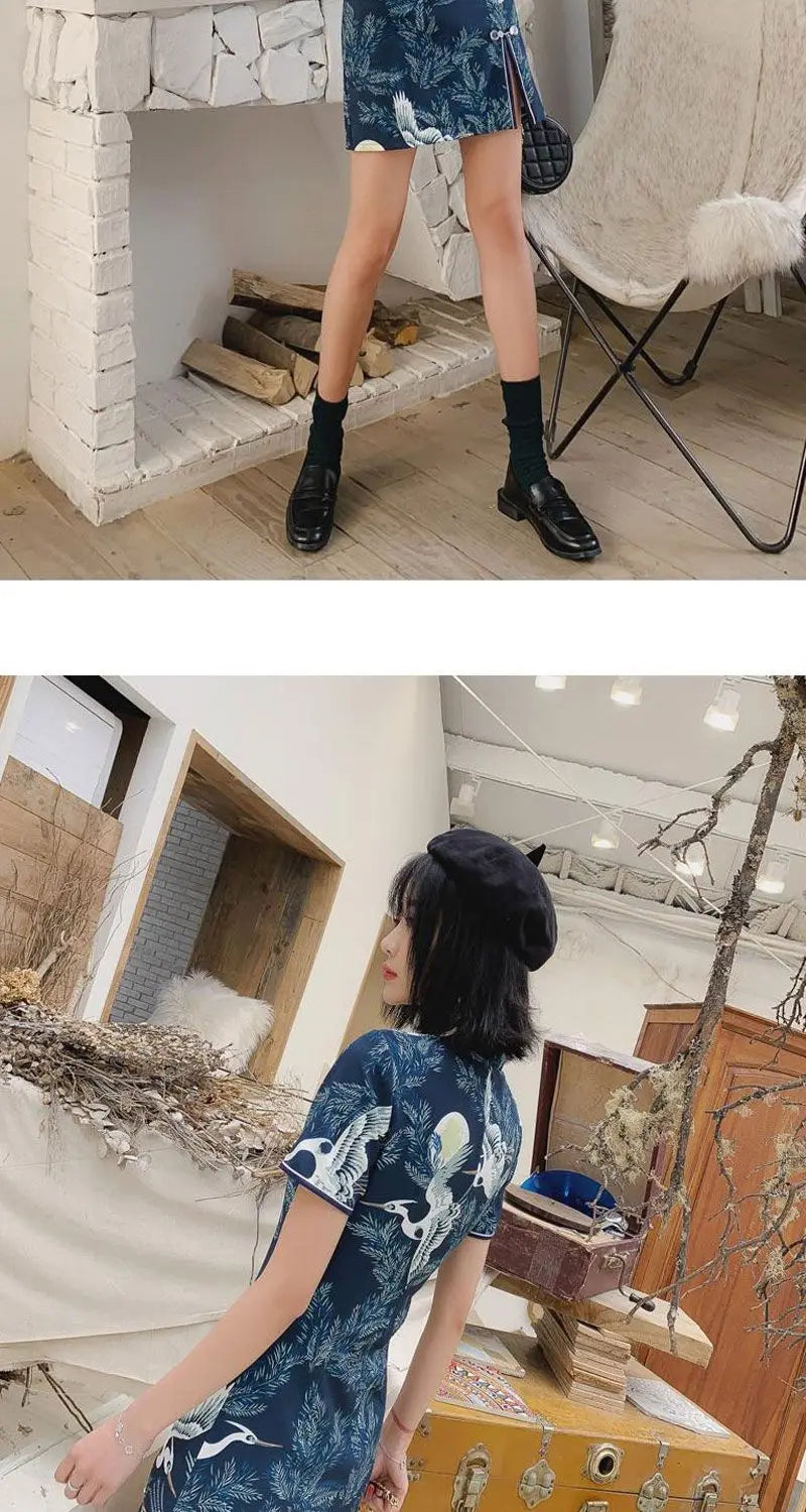 New Daily Improvement Cheongsam Dress 2024 Summer Short Sleeved Chinese Style Retro Young Style A-line Crane Print Dress Qipao - Seprincess