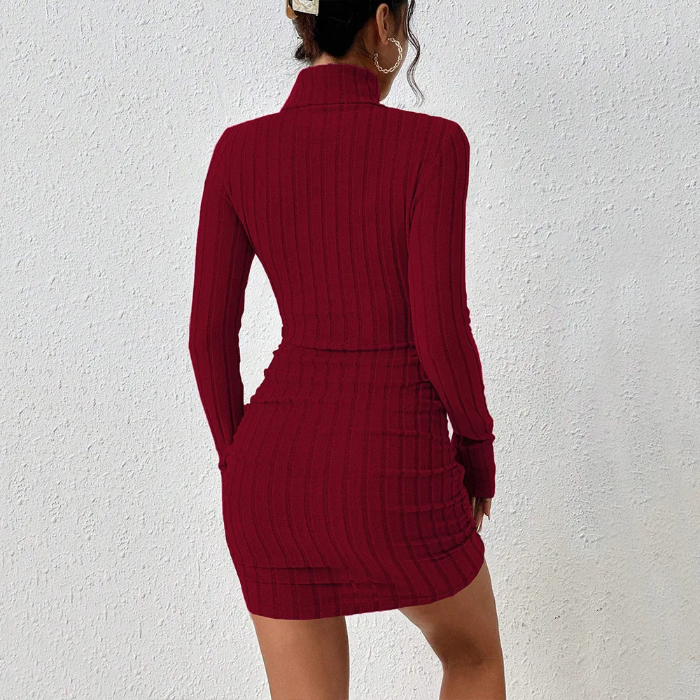 Women's Elegant Sexy Dress Autumn and Winter 2024 Burgundy Simple Style Turtleneck Short Slim New Fashion - Seprincess